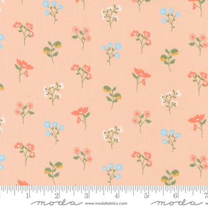 Dainty Meadow - 31741 17