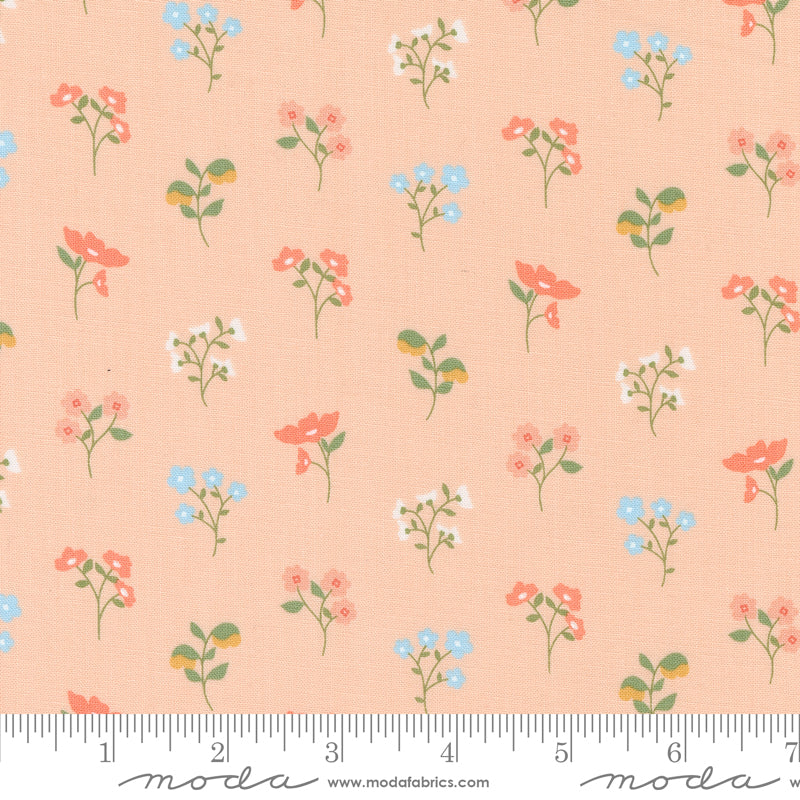 Dainty Meadow - 31741 17