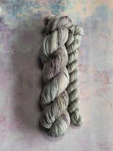 Load image into Gallery viewer, A Song of Yarn and Fibre Club - January 2025 - Sock Sets - Daenerys &amp; Silver Lady
