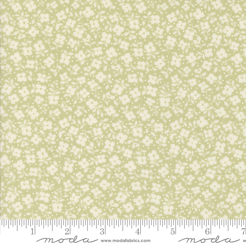 Dainty Meadow - 31745 20