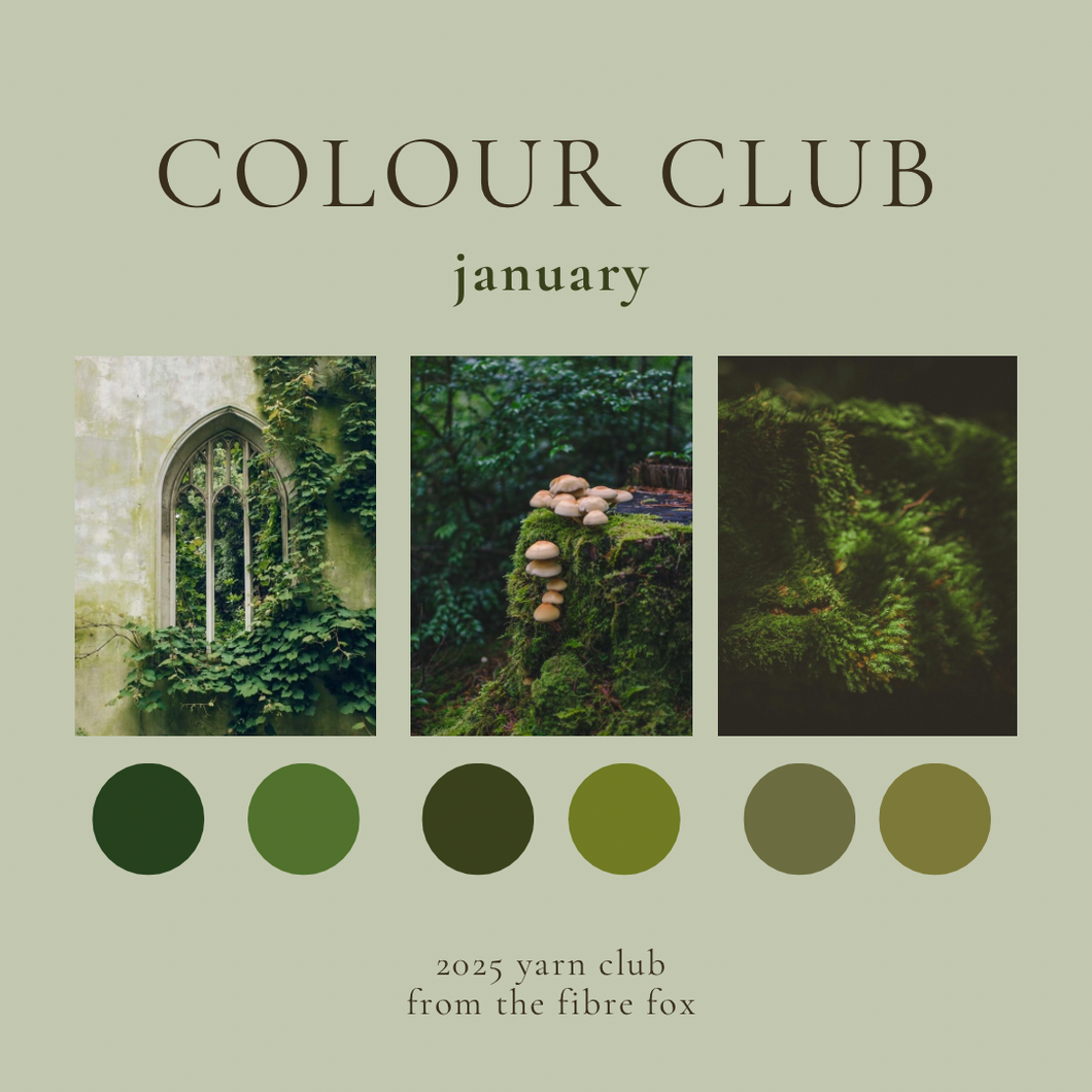 Colour Club - January 2025 - 50g Sets