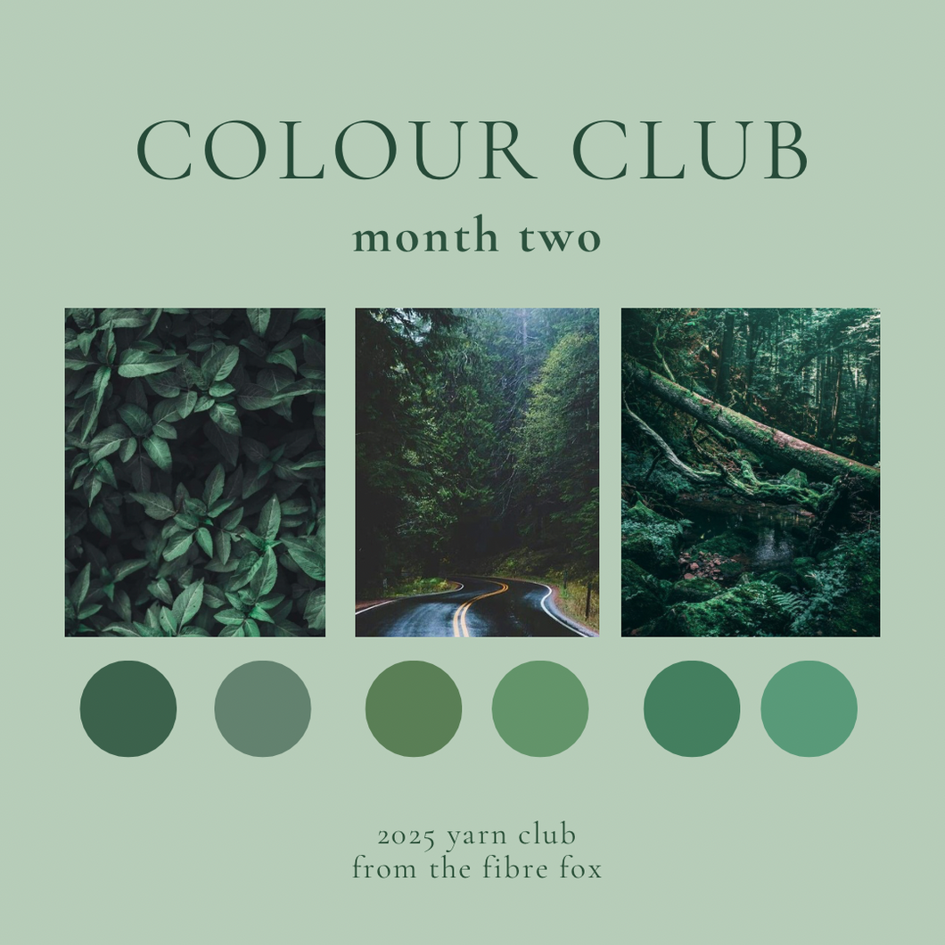 Colour Club - Month Two - 50g Sets